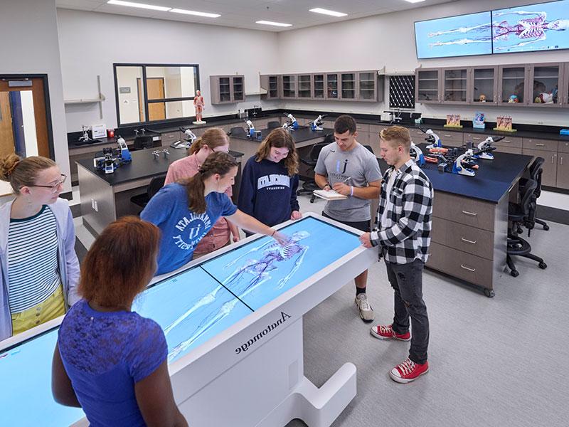 Students in anatomy lab